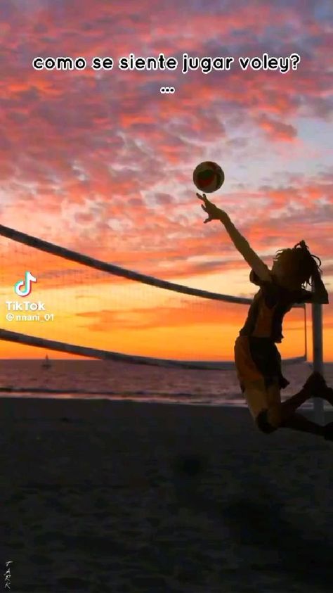 Volleyball Images, Volleyball Backgrounds, Volleyball Photography, Volleyball Posters, Volleyball Wallpaper, Volleyball Photos, Ball Aesthetic, Volleyball Inspiration, Volleyball Workouts