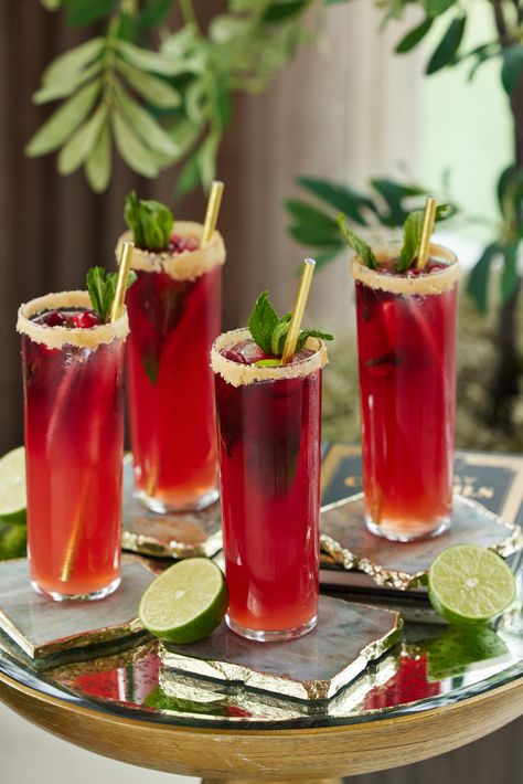 Blood Orange & Cranberry Mojito - Happily Eva After Blood Orange Ginger Cranberry Mojito, Fall Mojito, Carnival Drinks, Blood Orange Mocktail, Christmas Mojito, Cranberry Mojito, Christmas Themed Cocktails, Clay Business, Cranberry Sangria