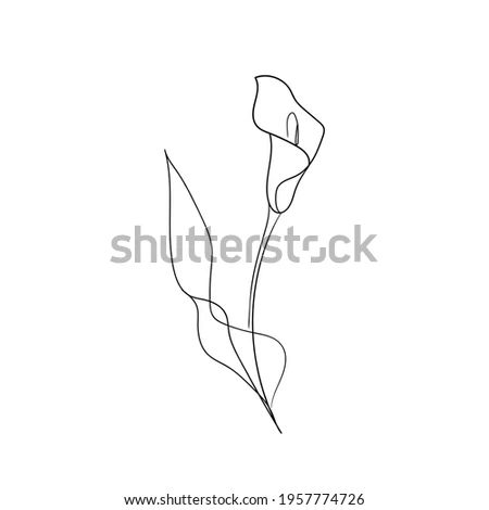 Calla lily flower one line drawing art. Line continuous style. Simple black and white logo, icon, design Single Line Lily Tattoo, Simple Line Lily Tattoo, Calla Lily Tattoo Simple, Calla Lily Drawing, Single Line Calla Lily Tattoo, Calla Lily Line Drawing, Flower One Line Drawing, Lily Drawing, Lily Tattoo Design