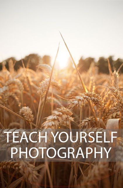 Teach Yourself Photography | Discover Digital Photography Start Photography, Word Photography, Photography Instruction, Beginner Photography, Digital Photography Lessons, Camera Tips, Photography Cheat Sheets, Fotografi Digital, Blog Planning