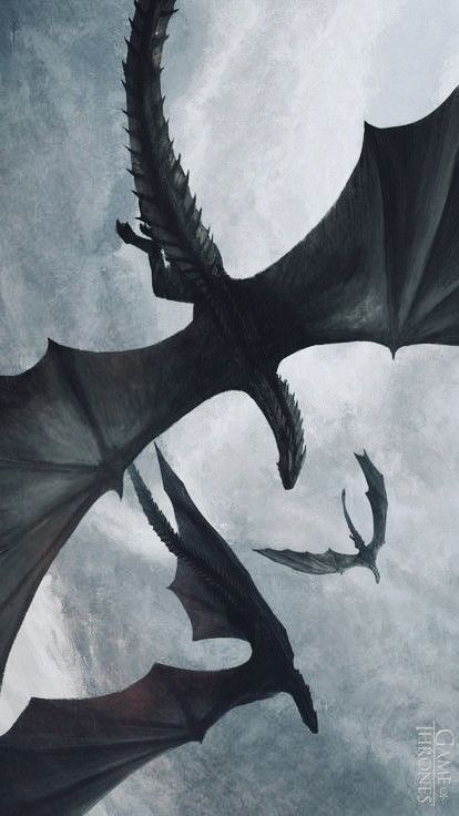 Hotd Dragon Wallpaper, Dragon Background Aesthetic, Wyvern Aesthetic, Wyvern Wallpaper, Dragon Astethic, Drogon Game Of Thrones Wallpaper, Dragon Aesthetic Wallpaper, Tairneanach Fourth Wing, Dragon Wallpaper Aesthetic