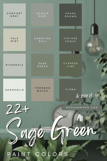 Sage Green And Accent Colors, Tornado Watch Paint Color, Shade Grown Color Palette, Decorating With Grays And Greens, Sage Green Gray Paint Colors, Soft Olive Green Paint, Shade Grown Paint, Dark Sage Paint Color, Paint Colors That Go With Sage Green