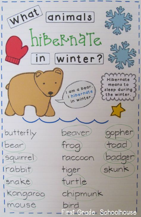 First Grade Schoolhouse: Learning About Animals That Hibernate Hibernation Preschool, Hibernating Animals, Hibernation Activities, Learning About Animals, Animals That Hibernate, Winter Unit, Thinking Maps, Preschool Winter, Animal Adaptations