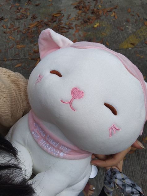 Room Decor Plushies, Cat Plush Aesthetic, Pink Cat Plushie, Miniso Plushies Aesthetic, Cute Cat Plushies, Miniso Stuff Toys, Miniso Plush, Miniso Plushies, Aesthetic Plushies