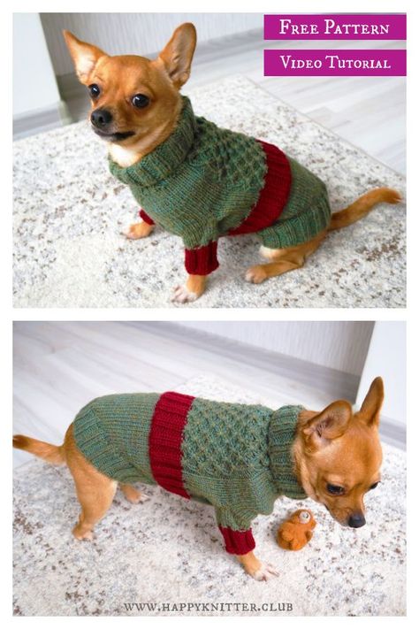 Dog Jumper Knitting Pattern, Christmas Tree Knitting Pattern, Knitting Patterns For Dogs, Sweater Free Knitting Pattern, Knitted Dog Sweater Pattern, Knitting Patterns Free Dog, Dog Coat Pattern, Christmas Knitting Patterns Free, Dog Sweater Pattern