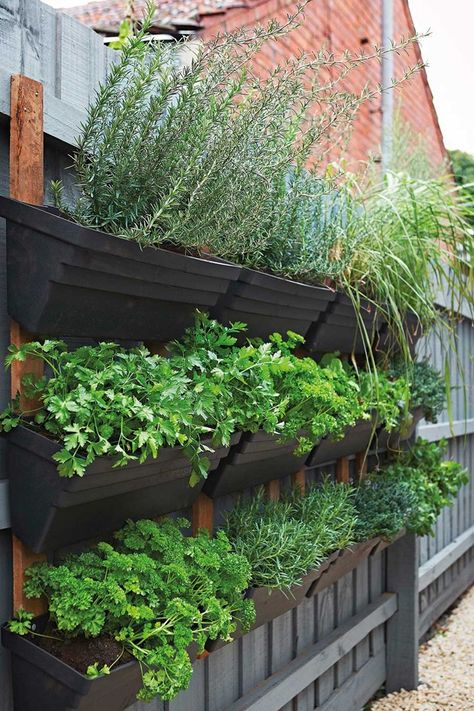 Garden Ideas Australia, City Gardening, Outdoor Herb Garden, Home Grown Vegetables, Walled Garden, Veg Garden, Home Vegetable Garden, Kestrel, Vegetable Garden Design