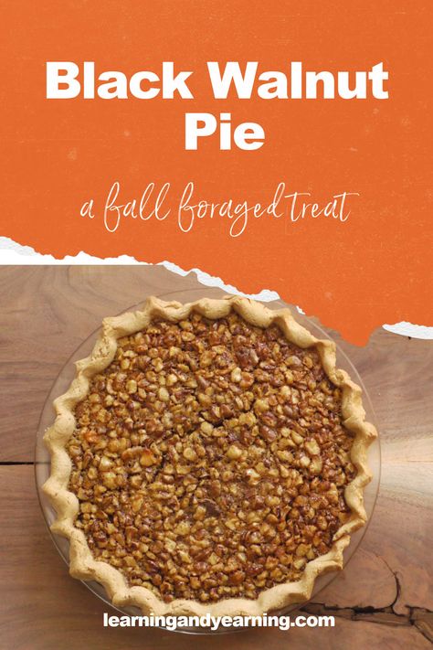 Make this delicious black walnut pie from nuts you've foraged, grown, or purchased. Your guests will love it! #recipe #pie #blackwalnuts #blackwalnutpie #realfood #natural #homesteading Pies With Walnut Pie Crust, Pies With Walnut Crust, Walnut Pie Recipe Easy, Black Walnut Pie Recipe, Walnut Bourbon Pie, Maple Walnut Pumpkin Pie, Walnut Pie Recipe, Black Walnuts Recipes, Preparedness Ideas