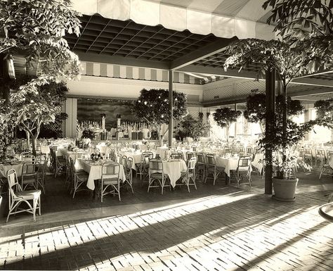 Orange Gardens, Everglades Club, Palm Beach, ca 1940 Florida Architecture, Palm Beach Style, Centennial Park, Palm Beach Florida, Palm Beach Gardens, Palm Beach County, Old Florida, Palm Beach Fl, Garden Soil