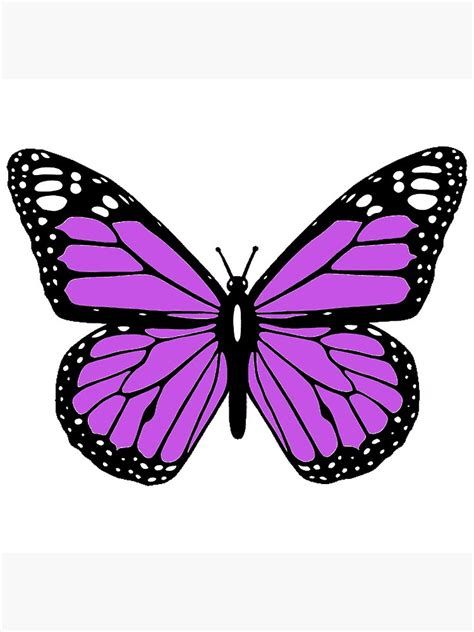 PURPLE Butterfly | Purple Butterfly Wallpaper, Purple Butterfly Perpul, Butterfly Drawing Purple, Black Butterfly Stickers Printable, Purple Butterfly Sticker Printable, Monarch Butterfly Watercolor, Butterfly Watercolor Painting, Painting Clipart, Butterfly Images Printable Colorful, Hearts Paper Crafts