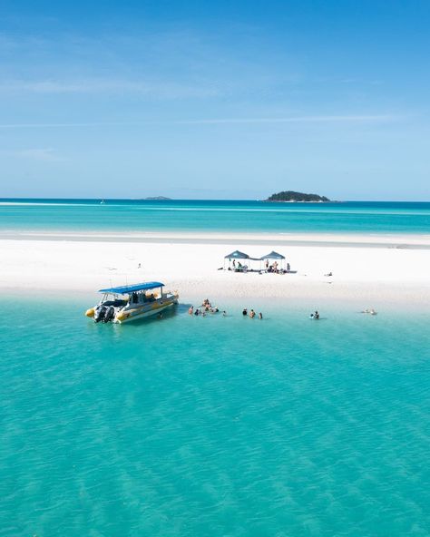 Australia on Instagram: “Now, this is the kind of beach we wouldn't mind being stranded on 😉🌴 Welcome to #WhitehavenBeach in the stunning @whitsundaysqld. This…” Whitehaven Beach Australia, White Haven Beach, Whitehaven Beach, Hamilton Island, Travel Locations, Beach Australia, Tourist Spots, Australia Travel, Pretty Places