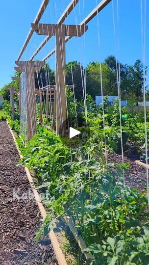 1.2M views · 13K reactions | Garden Ideas
➡️Growing Veggies Vertically 
➡️String Trellis
#gardenideas #gardening #veggies #growyourownfood | Kabsat | Kabsat · Original audio String Trellis, Gardening Veggies, Growing Veggies, Grow Your Own Food, Garden Ideas, Audio, The Originals