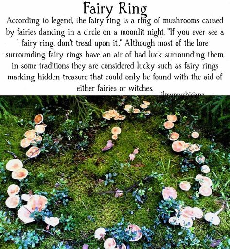 Irish Mythical Creatures, Fairies Facts, Fairies Mythology, Woodland Fairy Party, Fairy Circle, Irish Fairy, Fairies Dancing, Fairy Ring, Eclectic Witch