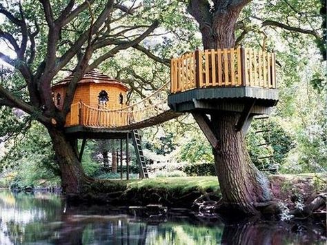 tree deck lookout deck ideas for backyard designs Beautiful Tree Houses, Balkon Decor, Cool Tree Houses, Magical Tree, Tree House Designs, Tree Houses, House Built, Beautiful Tree, Backyard Design