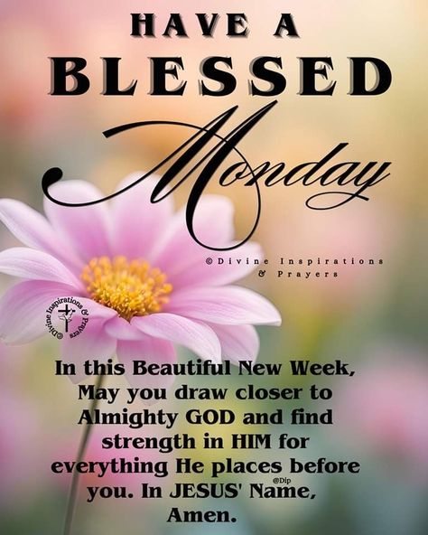 Monday Evening Blessings, New Week Quotes Inspiration, Blessed Monday Morning, Monday Blessings New Week, New Week Quotes, Monday Morning Blessing, Week Blessings, Good Morning Messages Friends, Bible Sayings