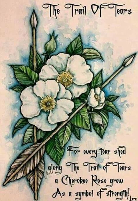 Trail of Tears - Cherokee Native American Flowers Tattoo, Native American Tattoos Cherokee, Cherokee Indian Tattoos, Cherokee Tattoos, Cherokee Art, Western Tattoo, Friendship Tattoo, Indian Tattoos, Gouache And Ink