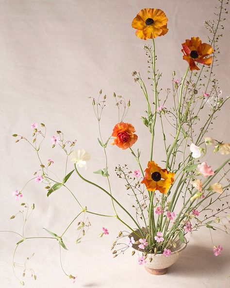 AESME FLOWER STUDIO on Instagram: “STUDIO | SPRING ⠀⠀⠀⠀⠀⠀⠀⠀⠀ Vessel | Japanese ceramic tea bowl Palette | Pea-green & rust with flecks of pink Materials | Ranunculus,…” Arreglos Ikebana, Ikebana Arrangements, Ikebana Flower Arrangement, British Flowers, Flower Studio, Sweet Peas, Japanese Flowers, Tea Bowl, Deco Floral