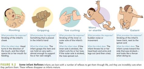 Physical development doesn't happen instinctively. Therefore, it's important to give a child numerous opportunities to practice both fine and gross motor skills. By simply being conscious of a child's actions and interests and following her lead, one can encourage and promote healthy physical development with minimal Nicu Nurse Education, Newborn Assessment, Infant Development, Newborn Nursing, Midwifery Student, Student Midwife, Pediatric Physical Therapy, Pediatric Occupational Therapy, Medical Surgical Nursing