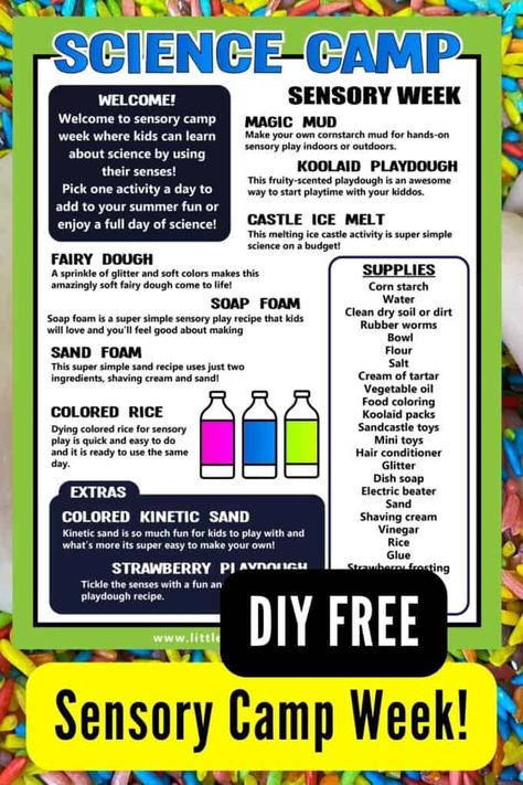 Slime Lesson Plan, Holiday Club Ideas, At Home Summer Camp Ideas, Summer Camp Weekly Themes, Diy Sensory Play, Summer Camp Activities For Kids, Camp Activities For Kids, Science Summer Camp, Camping Activites For Kids