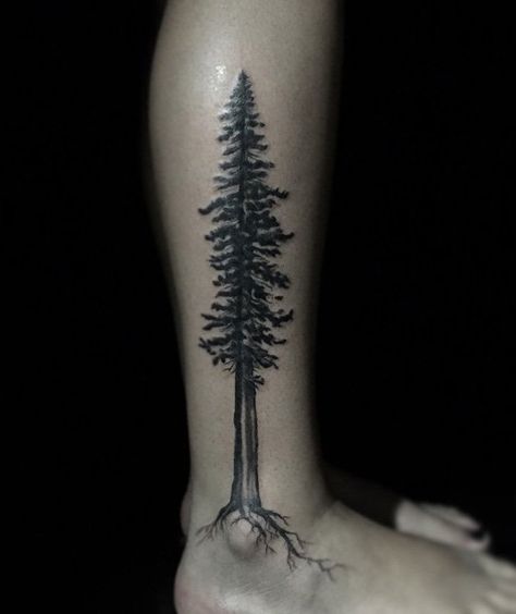 50+ Amazing Calf Tattoos | Art and Design Tree Tattoo Calf, Redwood Tree Tattoo, Tree Leg Tattoo, Redwood Tattoo, Evergreen Tree Tattoo, Pine Tattoo, Tattoo Tree, Ankle Tattoo Designs, Pine Tree Tattoo