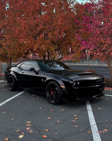 Cars Dodge Challenger, Dodge Challenger Gt, Tmax Yamaha, Dodge Challenger Hellcat, Challenger Srt Hellcat, Dream Car Garage, Dodge Challenger Srt Hellcat, Challenger Srt, Dodge Challenger Srt