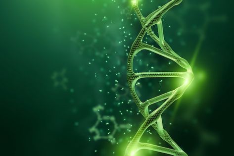 Dna Aesthetic, Dna Molecule, Dna Model, Human Genome, Slide Background, Animal Cell, Genetic Engineering, Character Board, Gene Therapy