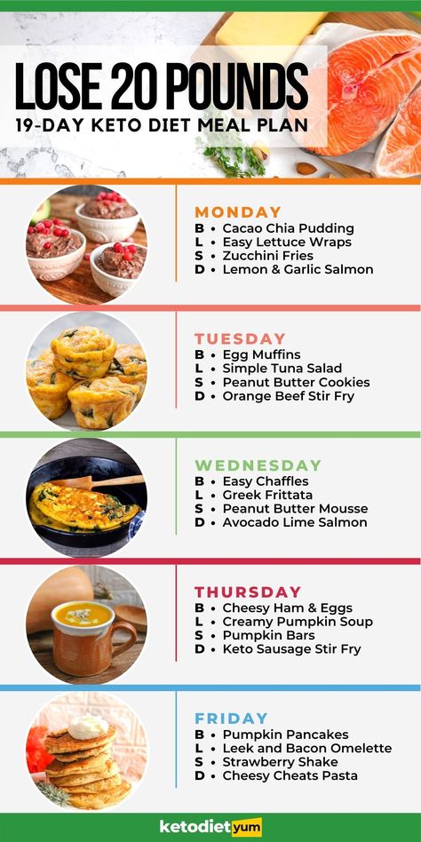 Easy Lettuce Wraps, Keto Quiche, 1000 Calorie, Creamy Pumpkin Soup, Motivasi Diet, Easy Keto Meal Plan, Breakfast Low Carb, Keto Lasagna, Baking Powder Uses