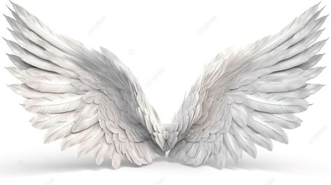 3d Angel Wings, Big Angel Wings, Angel Wings Background, White Background Hd, White Wing, Hd Photography, Garden Fairies, White Angel Wings, Silver Angel Wings