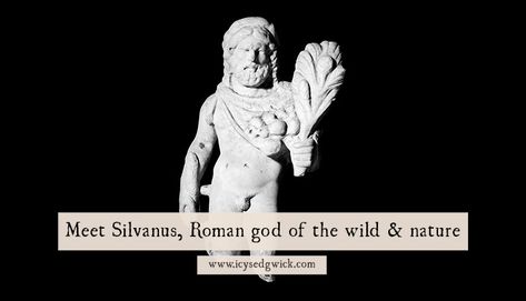 Meet Silvanus, Roman god of the wild and nature Roman Britain, Roman Gods, Roman Mythology, Urban Environment, Wild Nature, Worship, The Wild, How To Find Out, Hunting