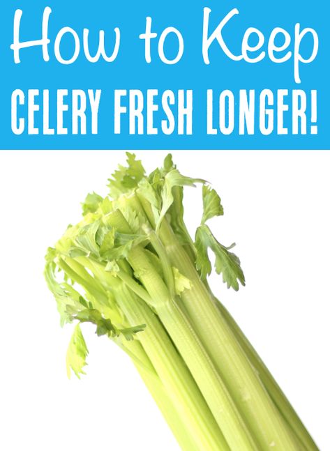 Keeping Celery Fresh In Fridge, How To Make Celery Last Longer, Celery Storage Fridge, Keep Celery Fresh Longer, How To Keep Celery Fresh Longer, Store Celery In Fridge, Best Way To Store Celery In Fridge, Storing Celery In Fridge, How To Keep Celery Fresh In Fridge