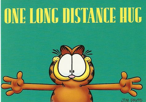 To all my pinning sisters!!!!! Sending Virtual Hug, Sister Bond Quotes, Long Distance Hug, Garfield Quotes, Morning Quotes For Friends, Hug Quotes, Garfield And Odie, Love Puns, Virtual Hug