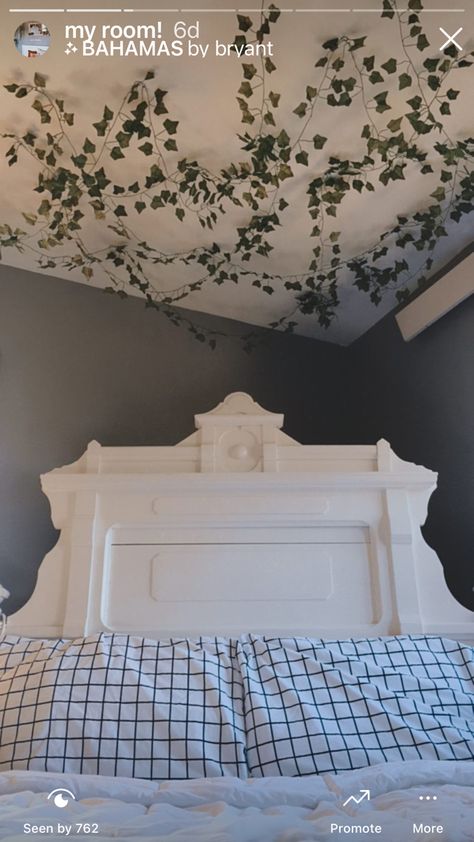 Hanging vines in bedroom ceiling Vines Across Ceiling, Bedroom Ceiling Design Aesthetic, Vines From The Ceiling, Bedroom Ceiling Vines, Room With Vines On Ceiling, Vine On Ceiling Bedroom, Vines From Ceiling Bedroom, Vibes Hanging From Ceiling, Vines Hanging Over Bed