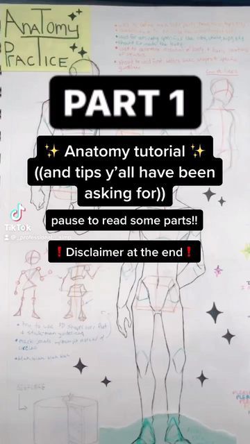 ✧ mykal !! [ hiatus ] on Instagram: "Anatomy Tutorial!! [part 1] This is a repost from TikTok so part 2 is already up!! The disclaimer and stuff is in part 2 . . . . . #art #artist #cute #cherryfeature_06 #artistsoninstagram #mangadraw #copic #copics #animeart #animedrawings #kawaiiart #aestheticart #myart #thisisanewtagforartists #sap_feature #arttrends #kyoufeature #meilk_feature #drawdrawdraw #featuremeart #sharingiscaringinstagram #anatomy #anatomytutorial #anatomydrawing #arttips #arttutor Anatomy Tutorial Tiktok, Body Perspective, Perspective Tutorial, Art Tutor, Anatomy Tutorial, From Tiktok, Anatomy Drawing, Art Trends, Drawing Stuff