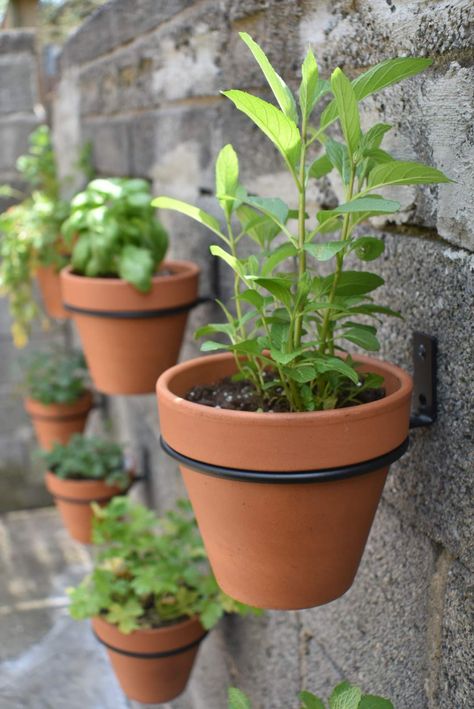 How to Make a Hanging Pot Herb Garden – KP HOME RENO Herb Garden Wall, Herb Garden Pots, Outdoor Herb Garden, Hanging Herb Garden, Hanging Herbs, Diy Herb Garden, Vertical Herb Garden, Herb Planters, Patio Furniture Ideas