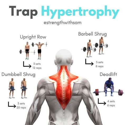 Shoulder And Trap Workout, Trap Workout, Ace Fitness, Arm Training, Traps Workout, Shoulders Workout, Gym Exercises, Gym Antrenmanları, Love Handle Workout