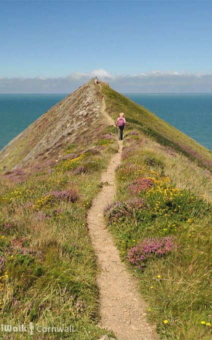 Higher Sharpnose Point, Morwenstow, Cornwall, England Camping Cornwall, England Aesthetic, Into The West, Camping List, Devon And Cornwall, Visiting England, Trendy Beach, Cornwall England, England And Scotland