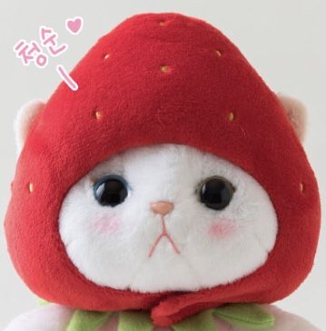 Cat Strawberry, Strawberry Cat, Cat Plush, Soft Plush, I Want