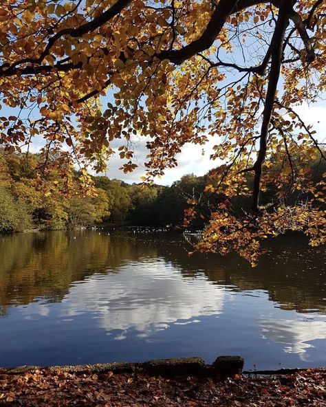 Pretty autumn moments on Wimbledon Common! . . Credi Wimbledon Common, Vision 2025, Life Vision, Beautiful View, Wimbledon, Beautiful Views, In This Moment, Water, Quick Saves