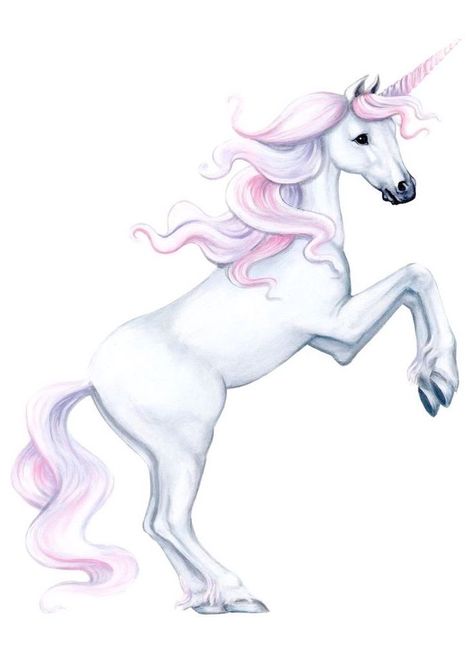 drawing-of-white-unicorn-with-pink-purple-mane-horn-how-to-draw-a-cute-unicorn-white-background Unicorn Mural, Unicorn Bedroom Ideas, Unicorn Decal, Unicorn Wall Decal, Rainbow Decal, Fairy Wall Art, Unicorn Decor, Unicorn Room, Unicorn Bedroom