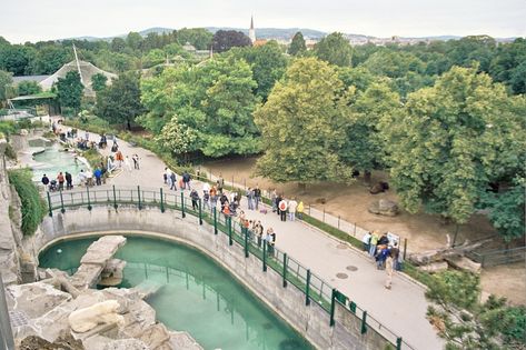 Vienna Zoo, Zoo Decor, Schonbrunn Palace, Playgrounds Architecture, Zoo Architecture, Schönbrunn Palace, Giant Pandas, Plaza Hotel, Amazon Rainforest