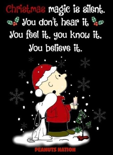 For all you Non believers, it's a feeling A Charlie Brown Christmas, Christmas Card Sayings, Charlie Brown Snoopy, Snoopy Images, Christmas Poems, Brown Christmas, Peanuts Christmas, Christmas Blessings, Charlie Brown Christmas