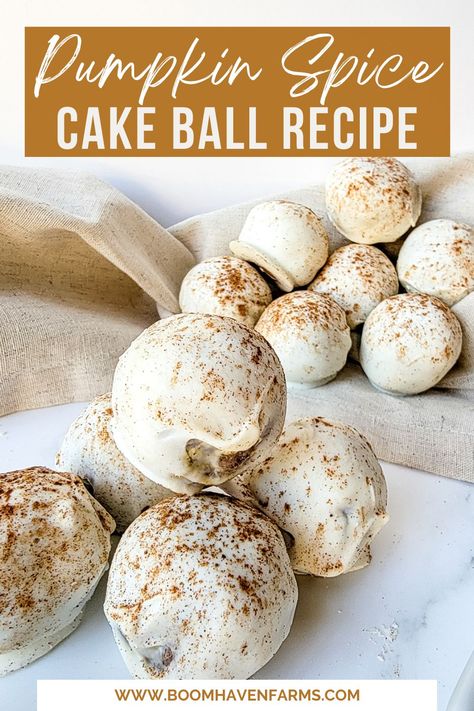 Pumpkin Balls With Spice Cake, Pumpkin Spice Cake Balls Recipe, Pumpkin Spice Cake Truffles, Healthy Pumpkin Cake Pops, Pumpkin Spice Cakepops, Pumpkin Roll Cake Pops, Apple Spice Cake Pops, Fall Cake Balls Recipe, Spice Cake Pops Recipe