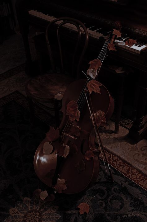 Cellist Aesthetic, Dark Cello Aesthetic, Cello Aesthetic Dark Academia, Orchestra Aesthetic, Cello Aesthetic, Lute Aesthetic, Black Violin Aesthetic, Violin Aesthetic Vintage, Light Academia Violin