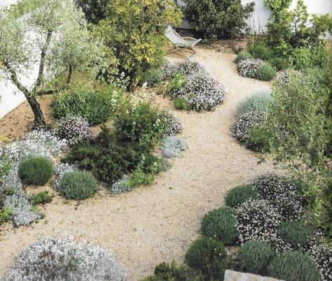 Mediterranean Landscape Design, Creative Garden Ideas, Mediterranean Garden Design, Gravel Landscaping, Decorative Gravel, Sustainable Landscaping, Mediterranean Landscaping, Dry Garden, Australian Garden