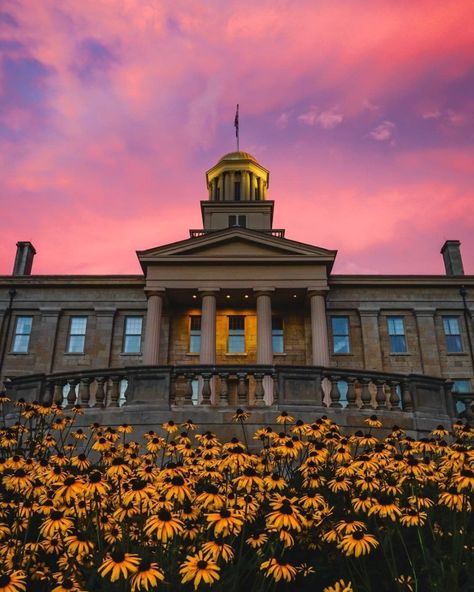 The University of Iowa on Instagram: “Love is a four letter word: I-O-W-A 💛🖤⁠ .⁠ .⁠ .⁠ .⁠ .⁠ .⁠ .⁠ (📷: @sam.eichhorn ) #uiowa #CyHawk #ThisisIowa #universityofiowa” Iowa University, College Tour, University Of Iowa, Indiana Hoosiers, Top Colleges, Graduation Photoshoot, Iowa City, Iowa Hawkeyes, Arkansas Razorbacks