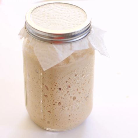 Bread Shelf, Starter Dough, Wild Yeast Starter, Bread Items, Sourdough Waffles, Gluten Free Sourdough Starter, Yeast Starter, Dough Starter, Starter Recipe