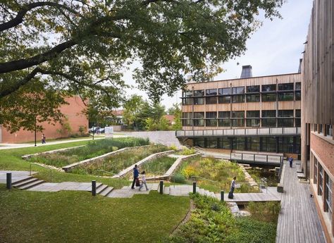 Constructed Wetland, Solar Chimney, Chimney Design, Building Skin, Friends School, Outdoor Classroom, Design Fields, School Yard, Building Systems