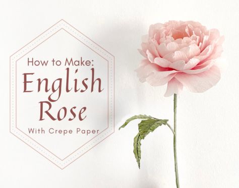 How to make an English Rose with Crepe Paper - Carte Fini Spring Topiary, Bunny Wreath Diy, Crepe Paper Flowers Diy, Crepe Flowers, Woodland Ornaments, Paper Bunny, How To Make Crepe, Paper Peonies, Paper Christmas Tree