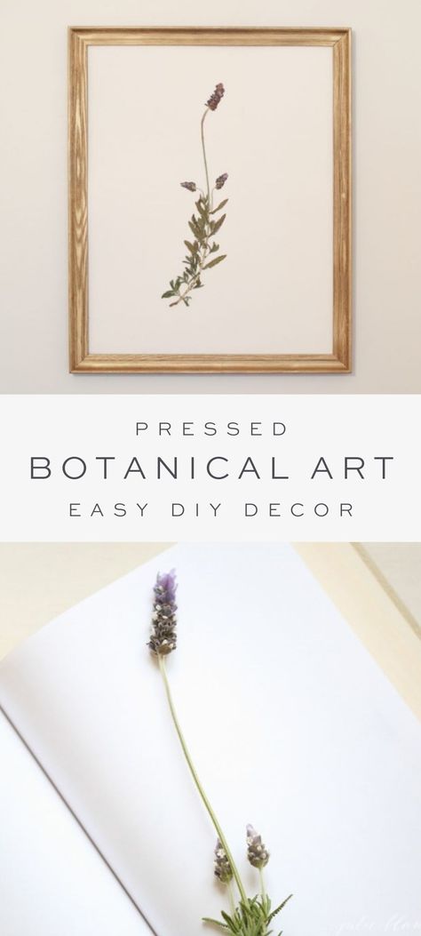 Pressed Botanical Art, Pressed Botanicals, Lake House Interior, Pressed Leaves, Framed Botanicals, Fun Diy Crafts, Diy Frame, Botanical Wall Art, Botanical Art