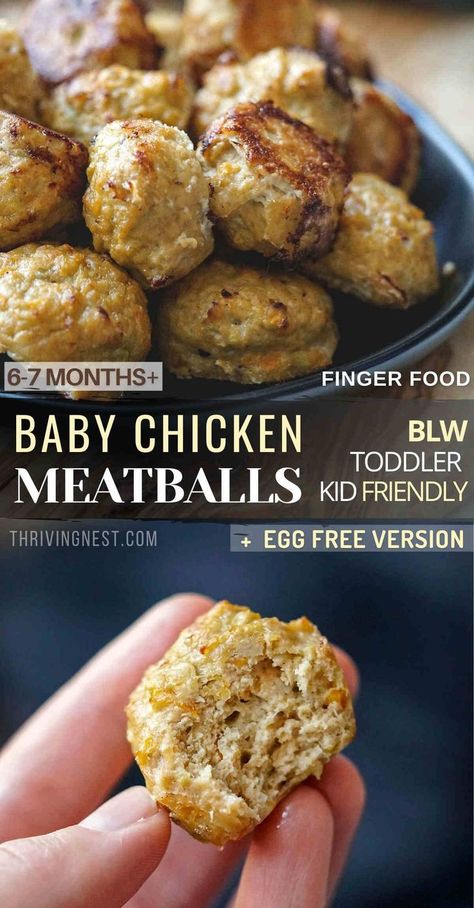 baby chicken meatballs Eggless Baby Food, Blended Meals Recipes, Deconstructed Tacos Blw, Meals For 17 Month Old, Recipes Using Baby Oatmeal Cereal, Blw Meal Prep 6 Months, Meal Ideas For 8 Month Old Baby, Blw Ground Chicken, Healthy Baby Led Weaning Meals