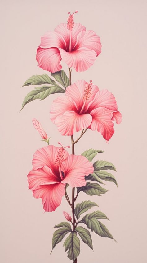 Vintage drawing red Hibiscus hibiscus | Premium Photo Illustration - rawpixel Gumamela Drawing, Beautiful Flower Drawings Colour, Flower Color Pencil Drawing, Hibiscus Flower Sketch, Flower Art Background, Flower Color Pencil, Hibiscus Illustration, Hibiscus Painting, Hibiscus Drawing